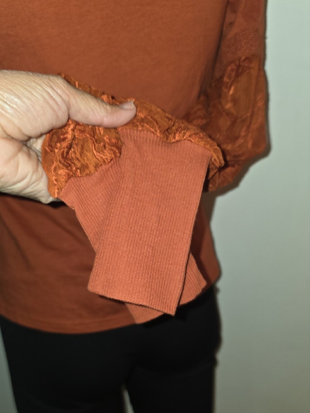 Anthropologie Embroidered Lace Yoke Blouse in Rust - Picture 5 of 9